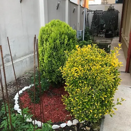 Vila Doda Guest house